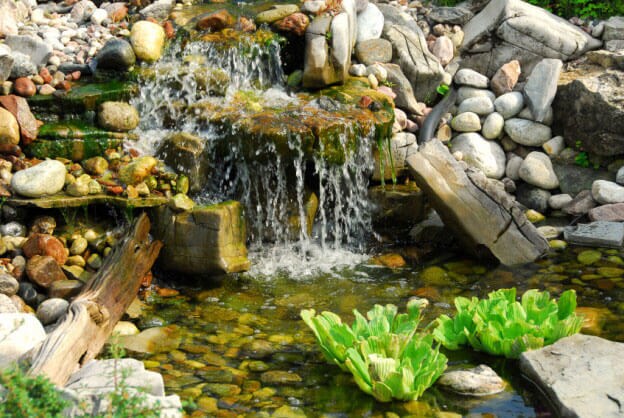 pond with waterfall and rocks